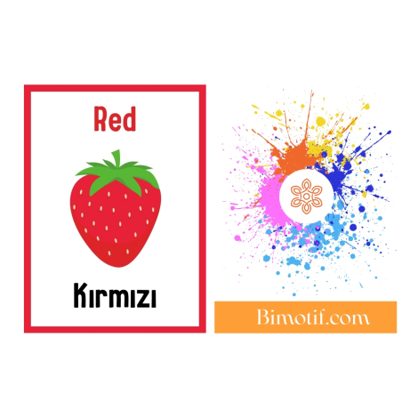 10lu ingilizce eğitici hafıza kartı oyunu, Renkli Hayvan ve Meyveler (Bağcıklı Kumaş Keseli) - 3