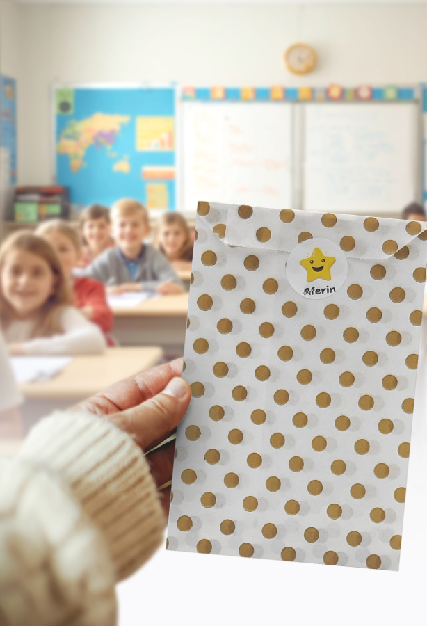 21 parça öğrenci hediye paket seti (20 adet 11x20 cm kese kağıdı ve 1 sayfa sticker) - 1