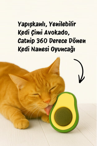 3lü Kedi Oyuncakları Seti (1 adet Kedi Nanesi Topu Catnip, 1 adet Kedi Oltası, 4'lü Kedi Zili Topu) - 3