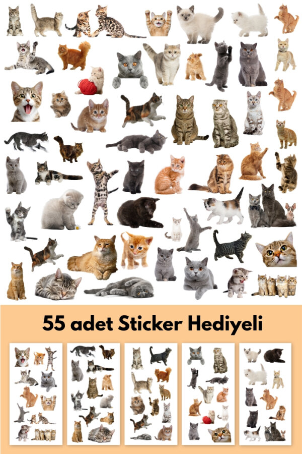3lü Kedi Oyuncakları Seti (1 adet Kedi Nanesi Topu Catnip, 1 adet Kedi Oltası, 4'lü Kedi Zili Topu) - 6