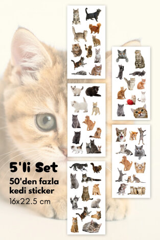 55li Komik Kedi, Sevimli Kediler Sticker Seti, Çıkartmaları, Ajanda, Günlük, Planlayıcı Sticker - Bimotif