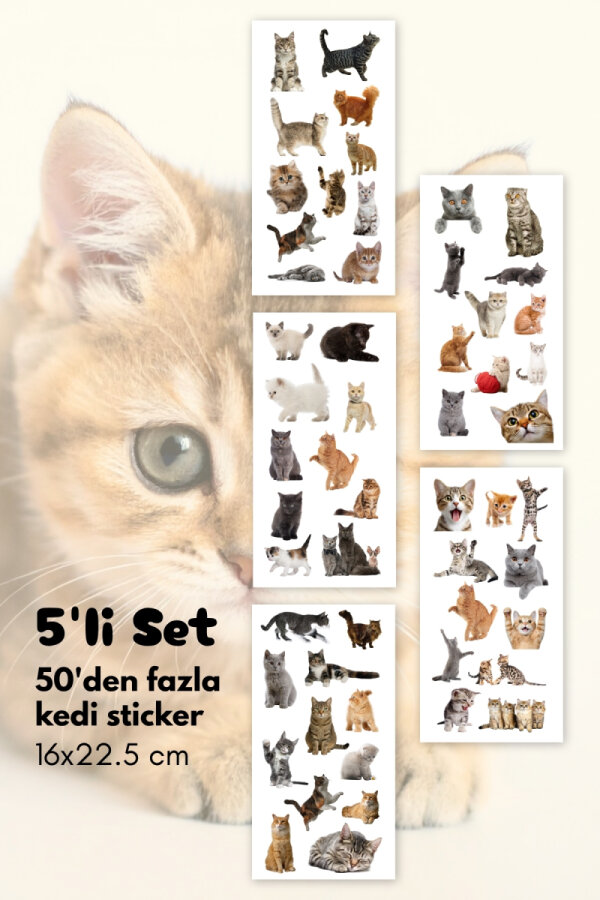 55li Komik Kedi, Sevimli Kediler Sticker Seti, Çıkartmaları, Ajanda, Günlük, Planlayıcı Sticker - 1