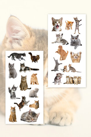 55li Komik Kedi, Sevimli Kediler Sticker Seti, Çıkartmaları, Ajanda, Günlük, Planlayıcı Sticker - 3