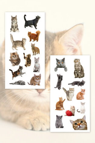 55li Komik Kedi, Sevimli Kediler Sticker Seti, Çıkartmaları, Ajanda, Günlük, Planlayıcı Sticker - 4