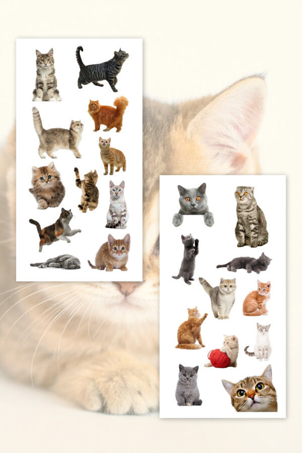 55li Komik Kedi, Sevimli Kediler Sticker Seti, Çıkartmaları, Ajanda, Günlük, Planlayıcı Sticker - 4