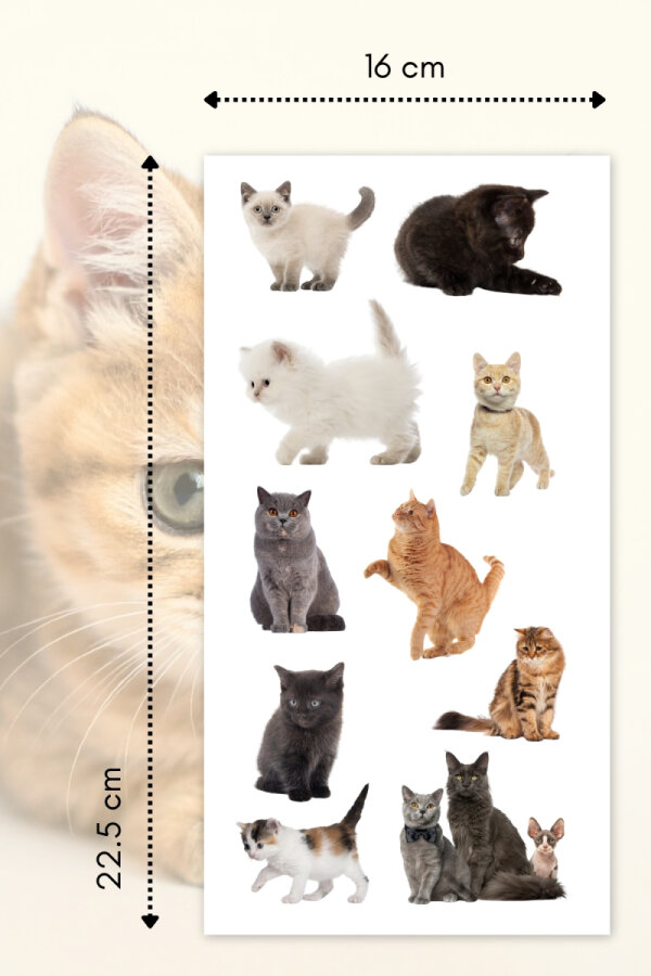 55li Komik Kedi, Sevimli Kediler Sticker Seti, Çıkartmaları, Ajanda, Günlük, Planlayıcı Sticker - 5