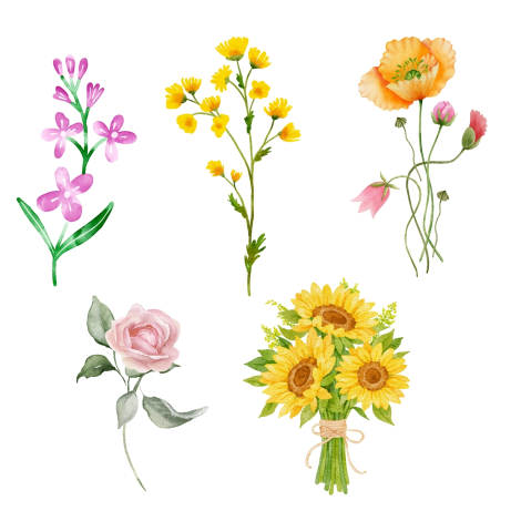 Karışık 210 çeşit çiçek sticker seti (10 sayfa) - Bimotif (1)