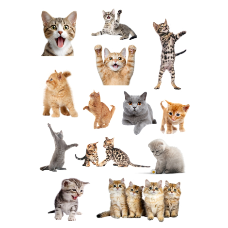 Karışık 260 adet sevimli kediler notebook, tablet, telefon sticker seti (20 sayfa) - Bimotif