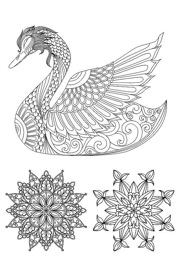 Mandala Boyama Kitabı (25 Sayfa) Yetişkinler için Geometrik, Çiçek, Hayvan Desenli Mandala Boyama - 6
