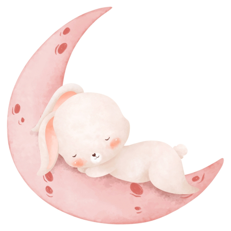 Priz sticker 10x15 cm, Tavşan - Bimotif (1)