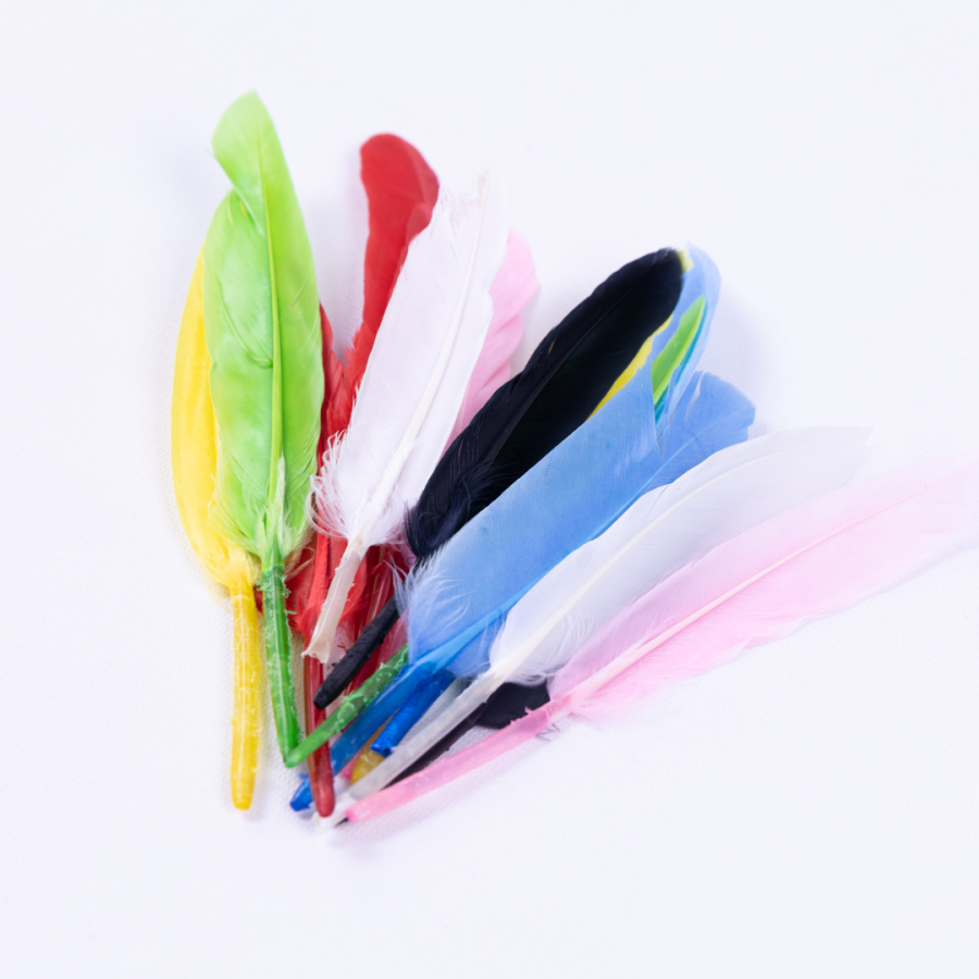 Coloured Goose Feathers, 5 mixed - 1